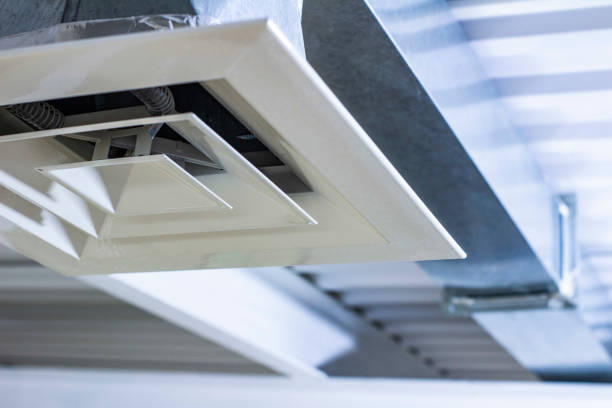 Best HVAC Duct Inspection Services  in Cicero, IN