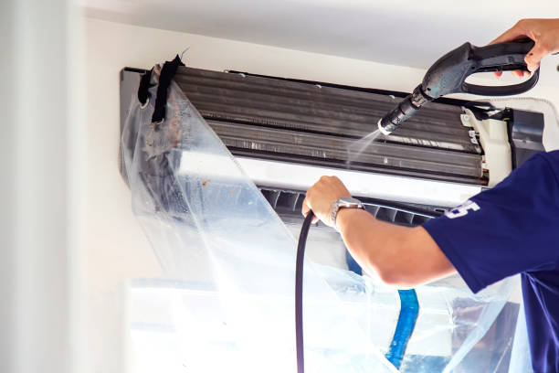 Best Air Duct Sanitizing Services  in Cicero, IN