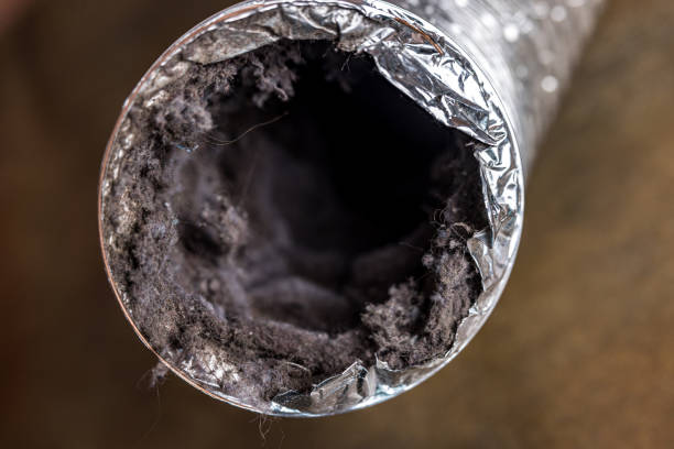 Best Affordable HVAC Duct Cleaning  in Cicero, IN