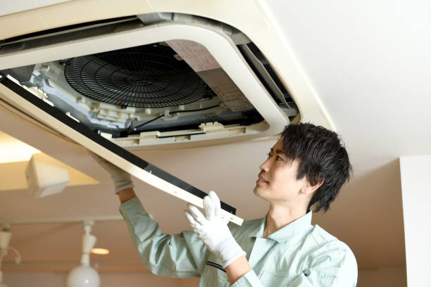 Best Affordable Air Duct Cleaning  in Cicero, IN